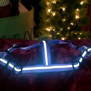 Never used medium dog harness